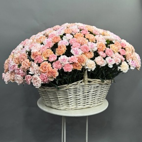 Композиция в корзине из 251 диантуса микс в Кашире