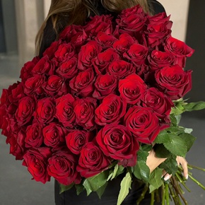 Букет 51 роза Эквадор Эксплорер (60 см) в Кашире