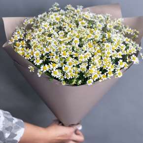 Букет из 17 ромашек танацетум в Кашире