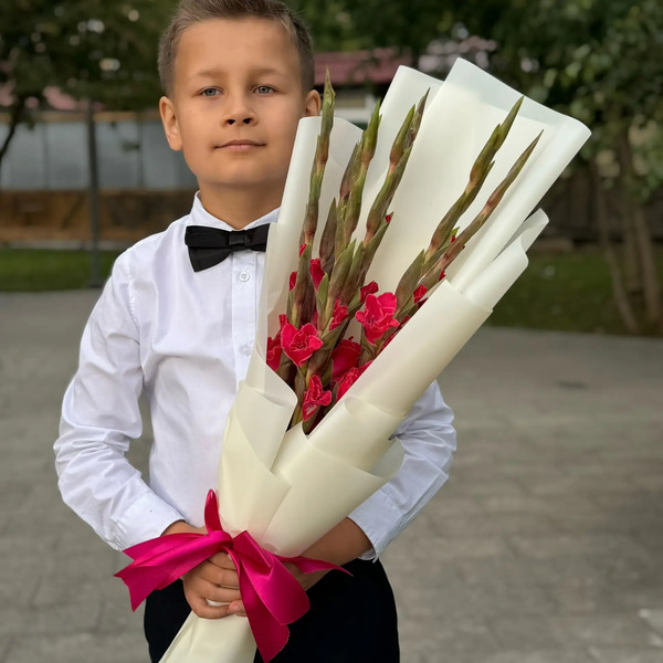 Букет на 1 сентября из 7 малиновых гладиолусов в Кашире