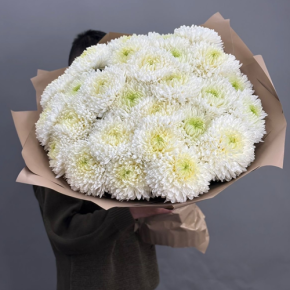 Букет из 27 хризантем Магнум в Кашире