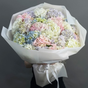 Букет из 23 гортензий микс в Кашире