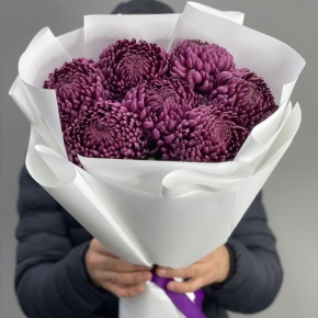 Букет "Винная легенда" из 7 хризантем Бигоуди в Кашире