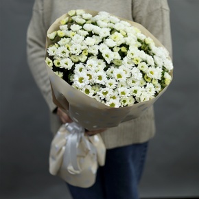 Букет "Милая моя" из 17 хризантем сантини в Кашире