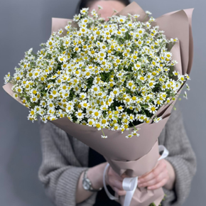 Букет из 17 полевых ромашек в Кашире