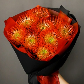 Букет из 9 лейко в Кашире