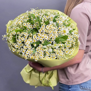 Букет из альстромерий и ромашек в Кашире