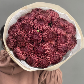 Букет 21 шоколадной хризантемы Бигоуди в Кашире