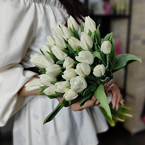 Букет белоснежных тюльпанов (25 шт) в Кашире