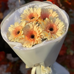 Букет из 5 персиковых гербер в Кашире