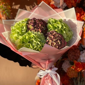 Букет из Голландских гортензий микс в Кашире