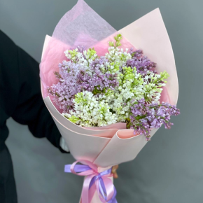 Букет из 11 веток сирени микс в Кашире