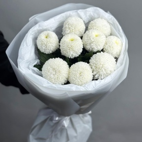Букет из 9 белых хризантем Момоко в Кашире