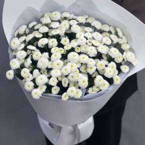 Букет "Белая дымка" из 25 хризантем сантини в Кашире