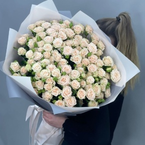 Букет из 25 кремовых кустовых роз (70 см) в Кашире