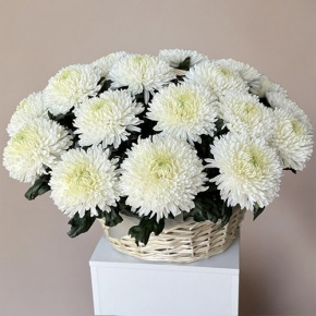 Композиция в корзине из 25 хризантем Магнум в Кашире