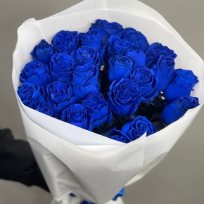 25 синих роз Эквадор (60 см) в Кашире