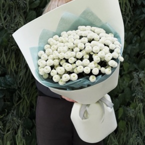 Букет из 25 хризантем Ньютон в Кашире