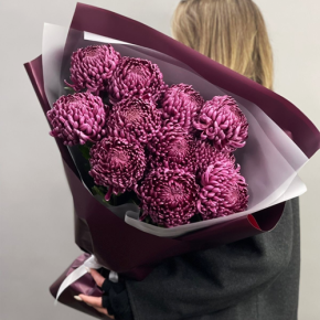 Букет "Изобилие" из 11 винных хризантем Бигоуди в Кашире