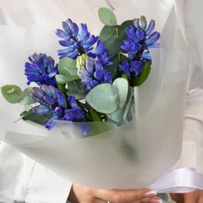 Букет "Мини" из 5 ароматных гиацинтов и эвкалипта в Кашире
