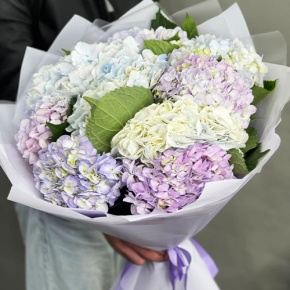 Букет из 9 Голландских гортензий микс в Кашире