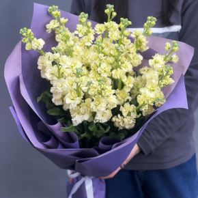 Букет из 15 лимонных маттиол в Кашире