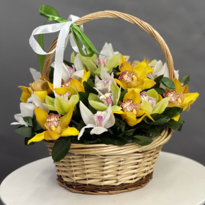 Композиция в корзине из 25 орхидей микс в Кашире