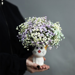 Композиция из гипсофил в керамическом кашпо в Кашире