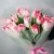Букет "Фламинго" из 11 пионовидных тюльпанов в Кашире Букет "Фламинго" из 11 пионовидных тюльпанов в Кашире