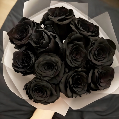 Букет "Черная королева" из 11 черных роз Эквадор (60 см) в Кашире