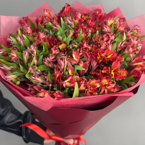 Монобукет из 25 красных альстромерий в Кашире