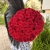 Букет 51 красной розы 50 см в Кашире