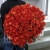 Букет 101 коралловая роза (60 см) в Кашире Букет 101 коралловая роза (60 см) в Кашире