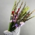 Букет из 25 гладиолусов микс в Кашире