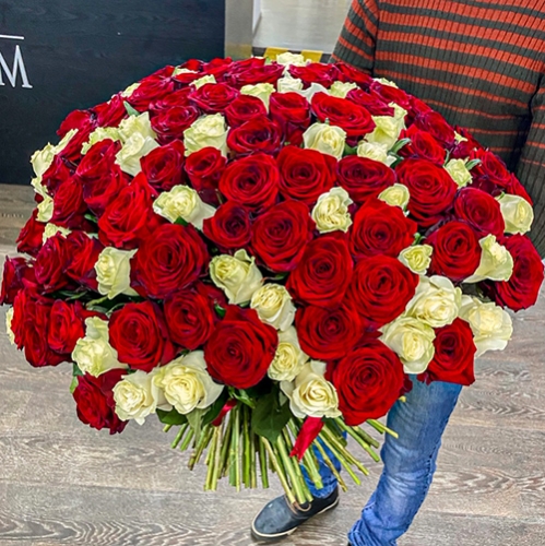 Букет 151 роза красный и белый микс (60 см) в Кашире