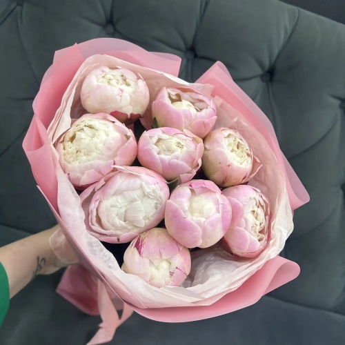 Букет из 9 нежных пионов Гардения в Кашире