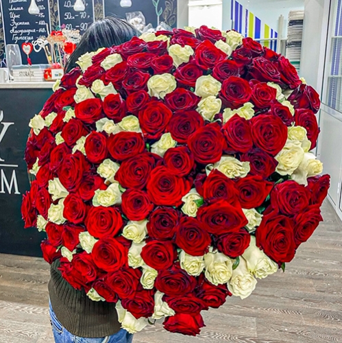 Букет 151 роза красный и белый микс (60 см) в Кашире