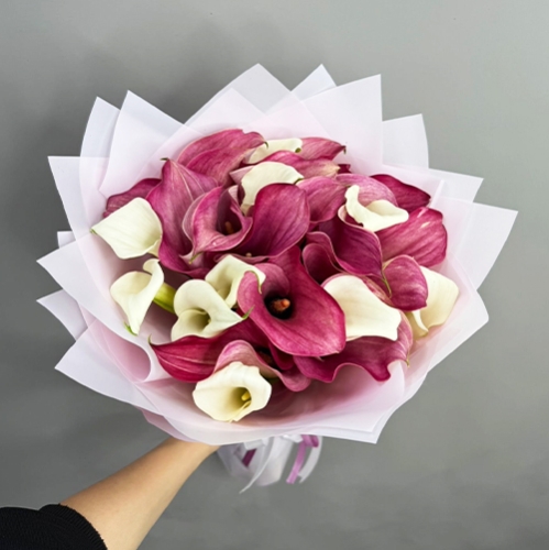 Букет из 25 нежных калл в Кашире