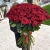 Букет из 101 красной розы (90 см) в Кашире Букет из 101 красной розы (90 см) в Кашире