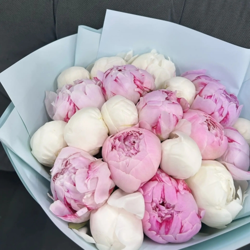 Микс из 19 бело-розовых пионов в Кашире