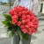 Букет 51 роза коралл (60 см) в Кашире Букет 51 роза коралл (60 см) в Кашире