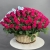 Композиция в корзине из 151 малиновой розы в Кашире Композиция в корзине из 151 малиновой розы в Кашире