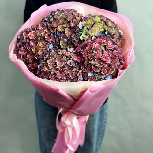 Букет из 5 космических Голландских гортензий в Кашире