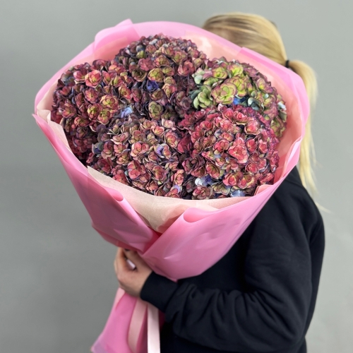 Букет из 5 космических Голландских гортензий в Кашире